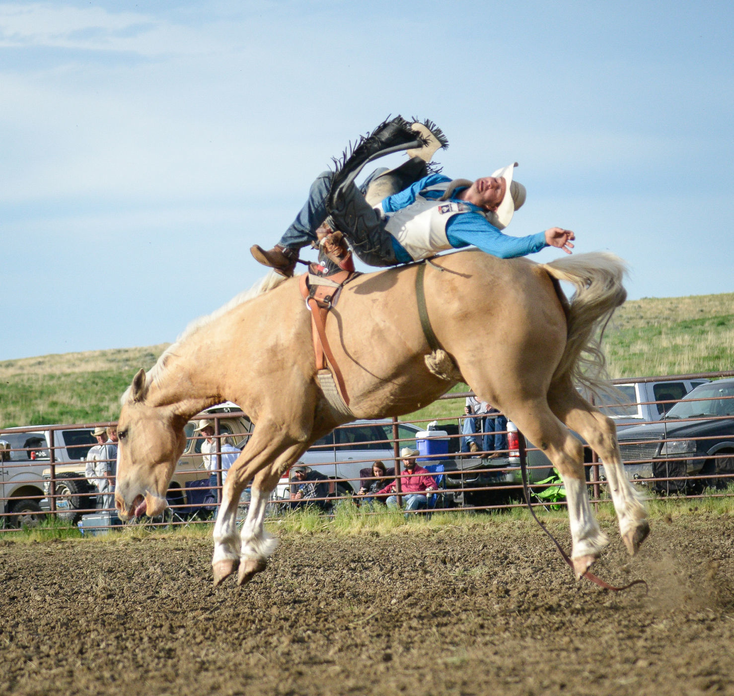 Joliet drive-in rodeo